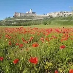 Casetta Delle Rose Semesterbostad *