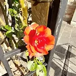 Casetta Delle Rose Assisi