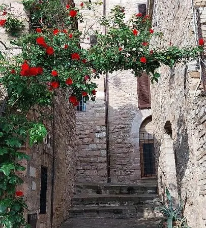 Casetta Delle Rose